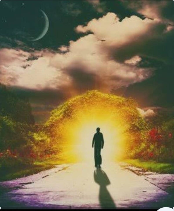 Chemin de vie