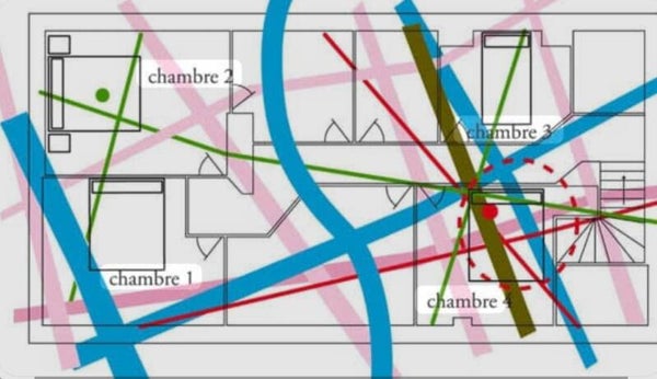 Géobiologie