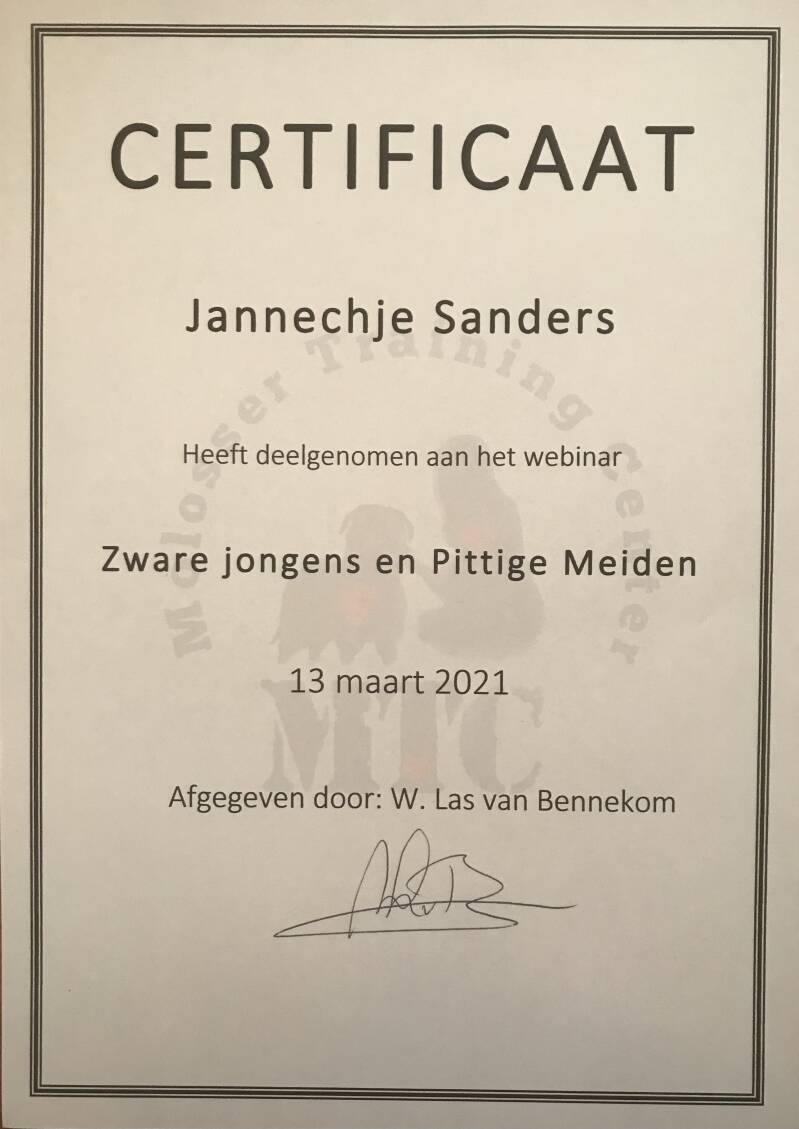 Certificaatlezingen_MTCZwarejongensenpittigemeiden_2021-03-13-2.jpg