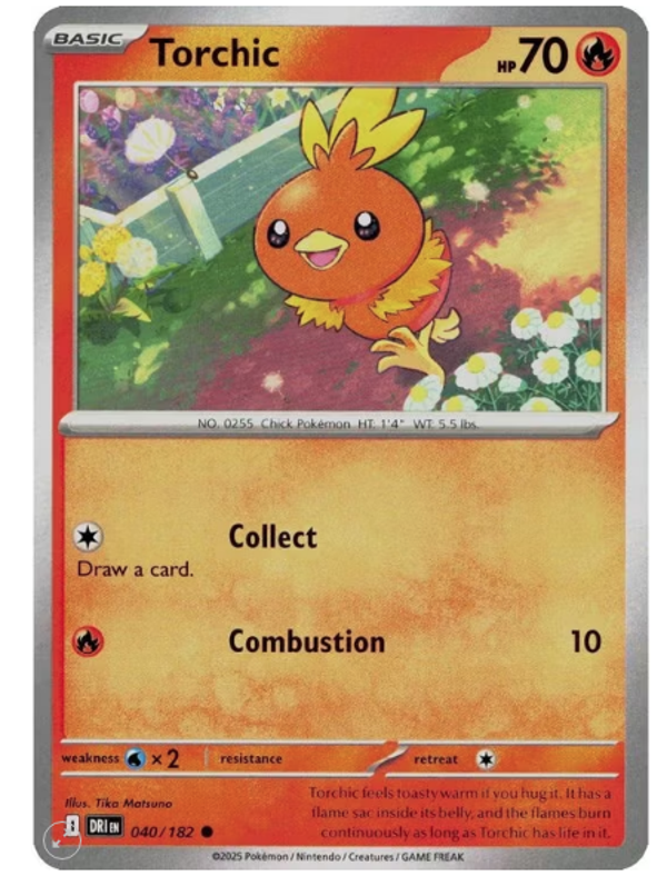 Torchic – 040/182