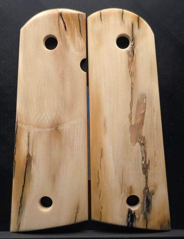 Wooly Mammoth Ivory Tusk - #565