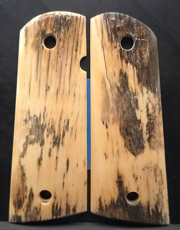 Woolly Mammoth Ivory Tusk #563