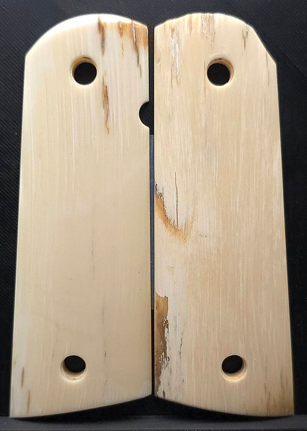 1911 Woolly Mammoth Ivory - #562