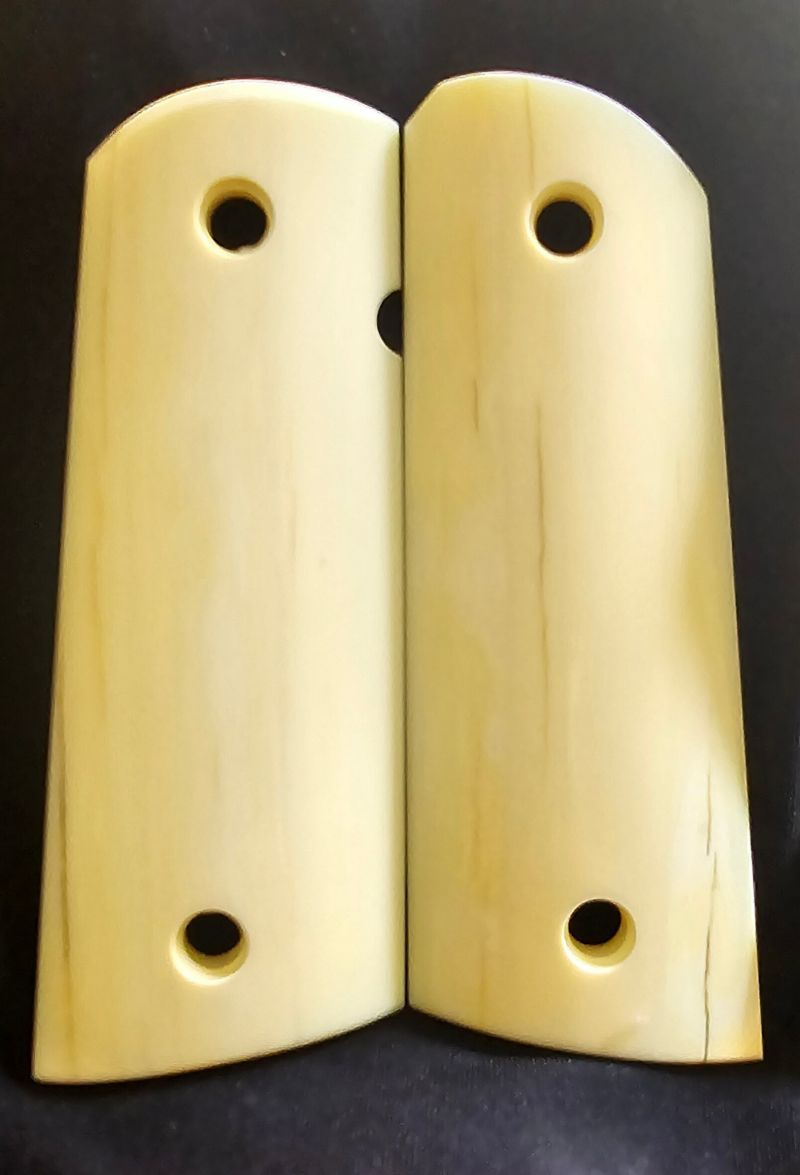 Siberian Woolly Mammoth tusk