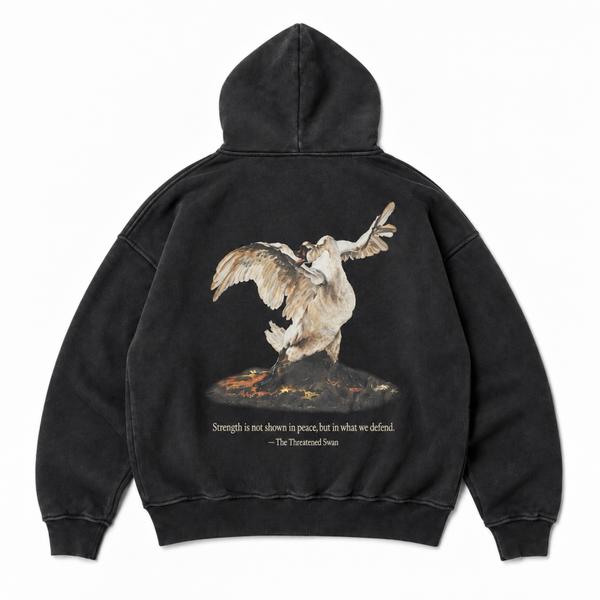 DAAD Unisex Swan Hoodie Washed Black