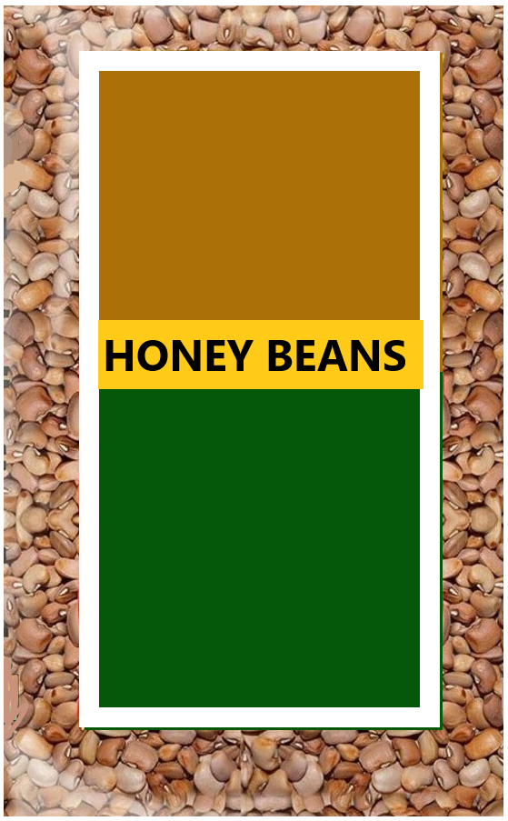 Honey Beans (Oloyin) 4kg
