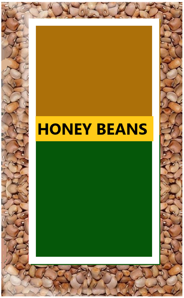 Honey Beans (Oloyin) 4kg