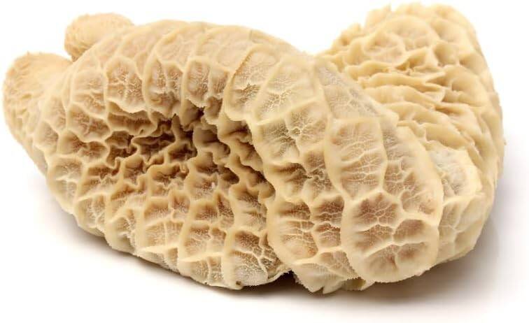honey-comb-tripe-saki-frozen-1kg-8-99-standard.jpg