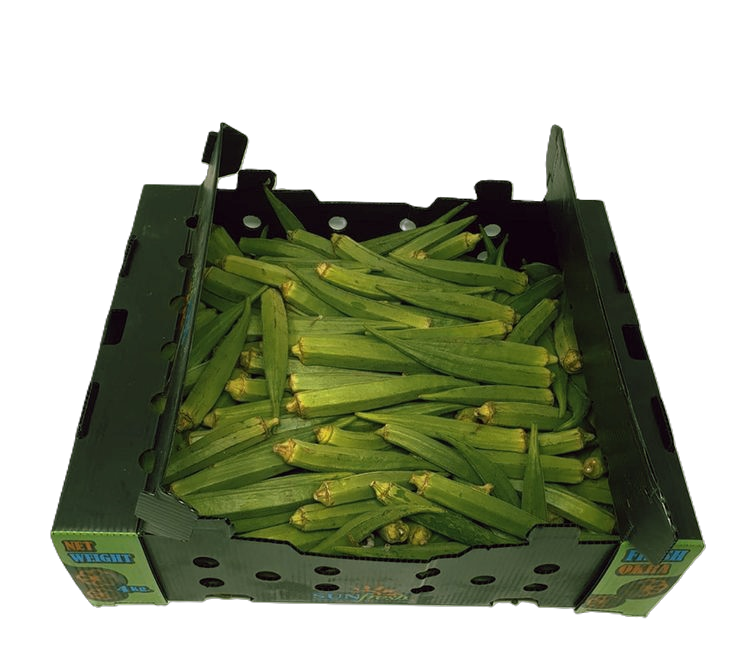 okro-box-standard-ic056i.png
