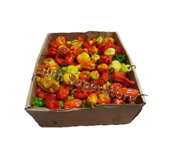Scoth bonnet (Ata Rodo - hot pepper)