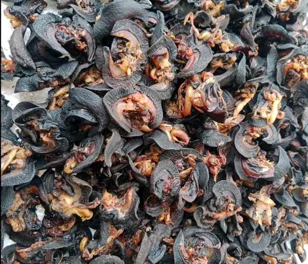 Oven Dried Snails