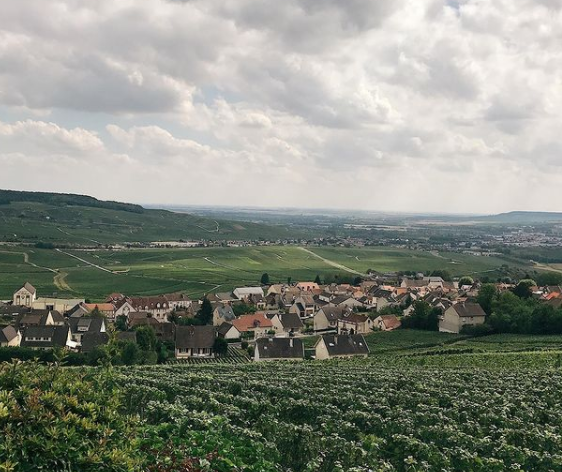 Treinreis-champagnestreek-Hautvillers-treinreizen-frankrijk-plannen