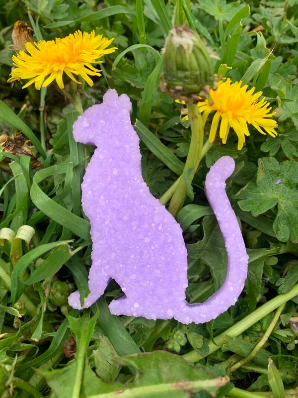 Chat effet diamant