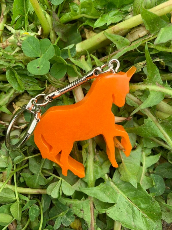 Licorne