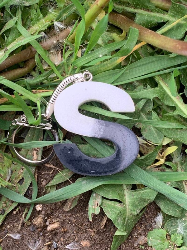 Lettre S