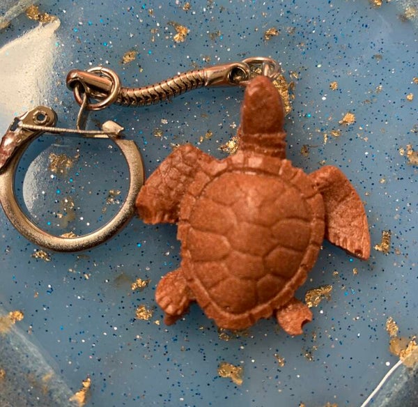 Tortue