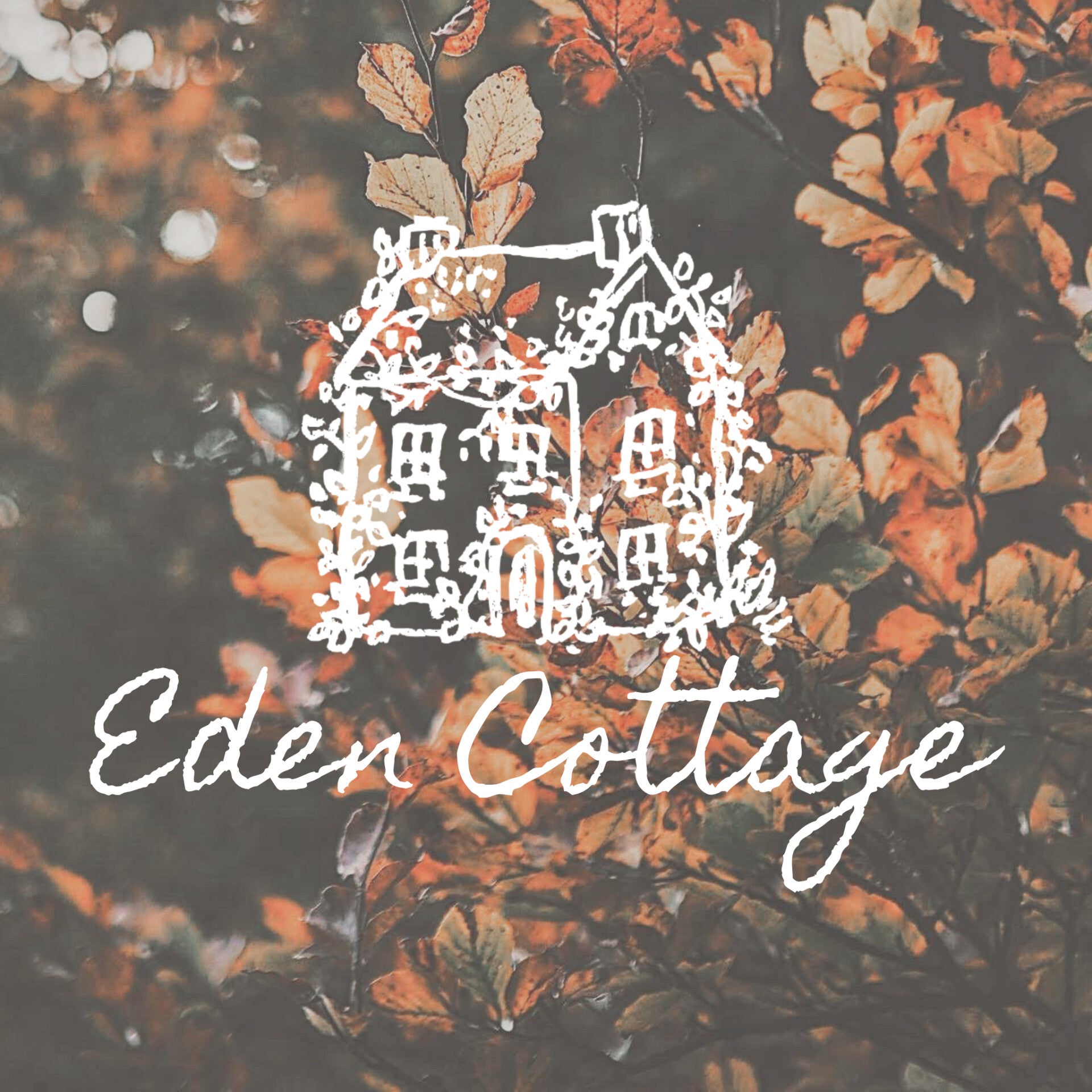 Image shows our Eden Cottage Logo against an autumnal photo of the changing leaves on the trees. The start of my ambitious new, rustic, nature inspired business.   