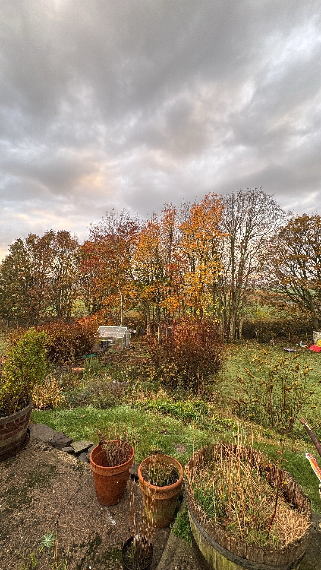 Autumnal image of our cottage garden, I am hoping to grow more chemical free soft fruits and herbs to be included in our bakes and cooking next year.
