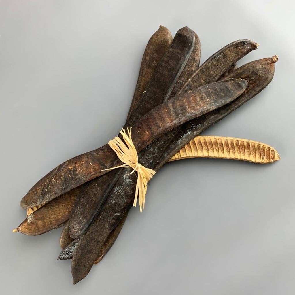 Acacia boon 40-60cm