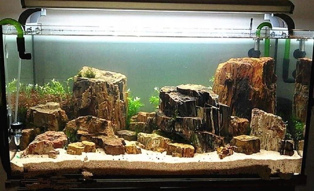 Gefossiliseerde aquarium houtstenen