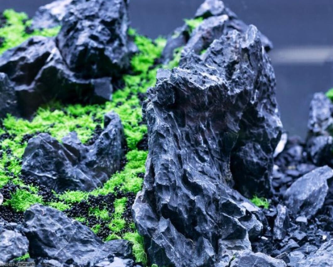Black Ryuoh aquarium stenen