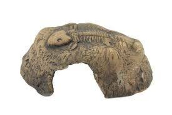 CeramicNature Fossil Stone bruin