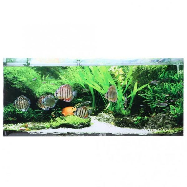 Aquarium achterwand pvc sticker poster 91 x 50 cm