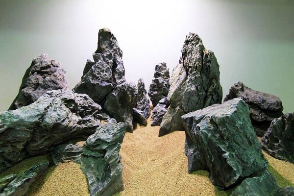 Seiryu Rock aquarium stenen
