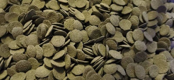 Algenwafels Spirulina 50 gram