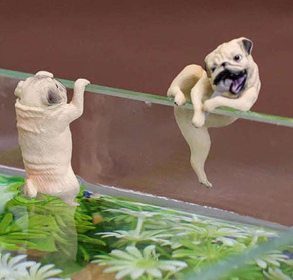 Aquarium decoratie Bulldog hangend