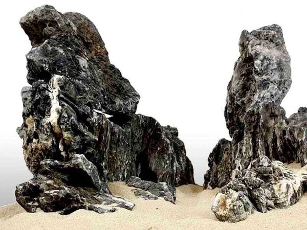 Black Ryuoh aquarium stenen