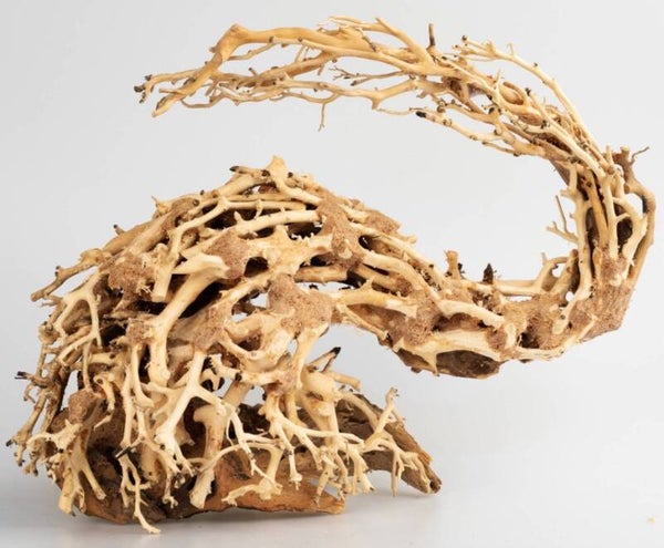 Bonsai Dragon S of M handgemaakt