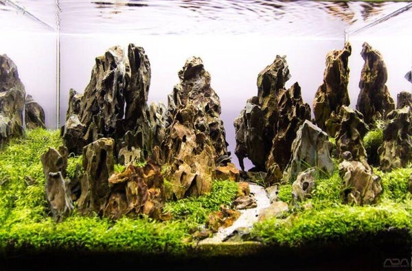 Dragon Stone (draken steen) aquarium stenen