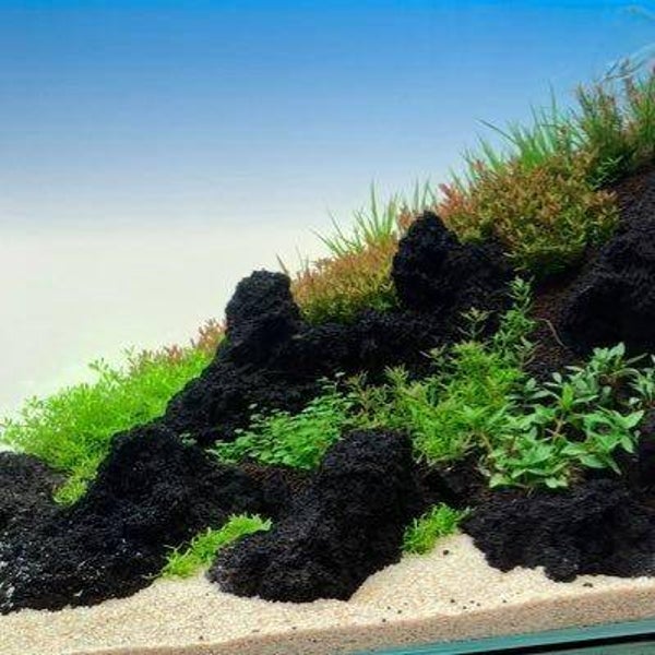 Rock zwarte aquarium Lavastenen-Black Lava stenen