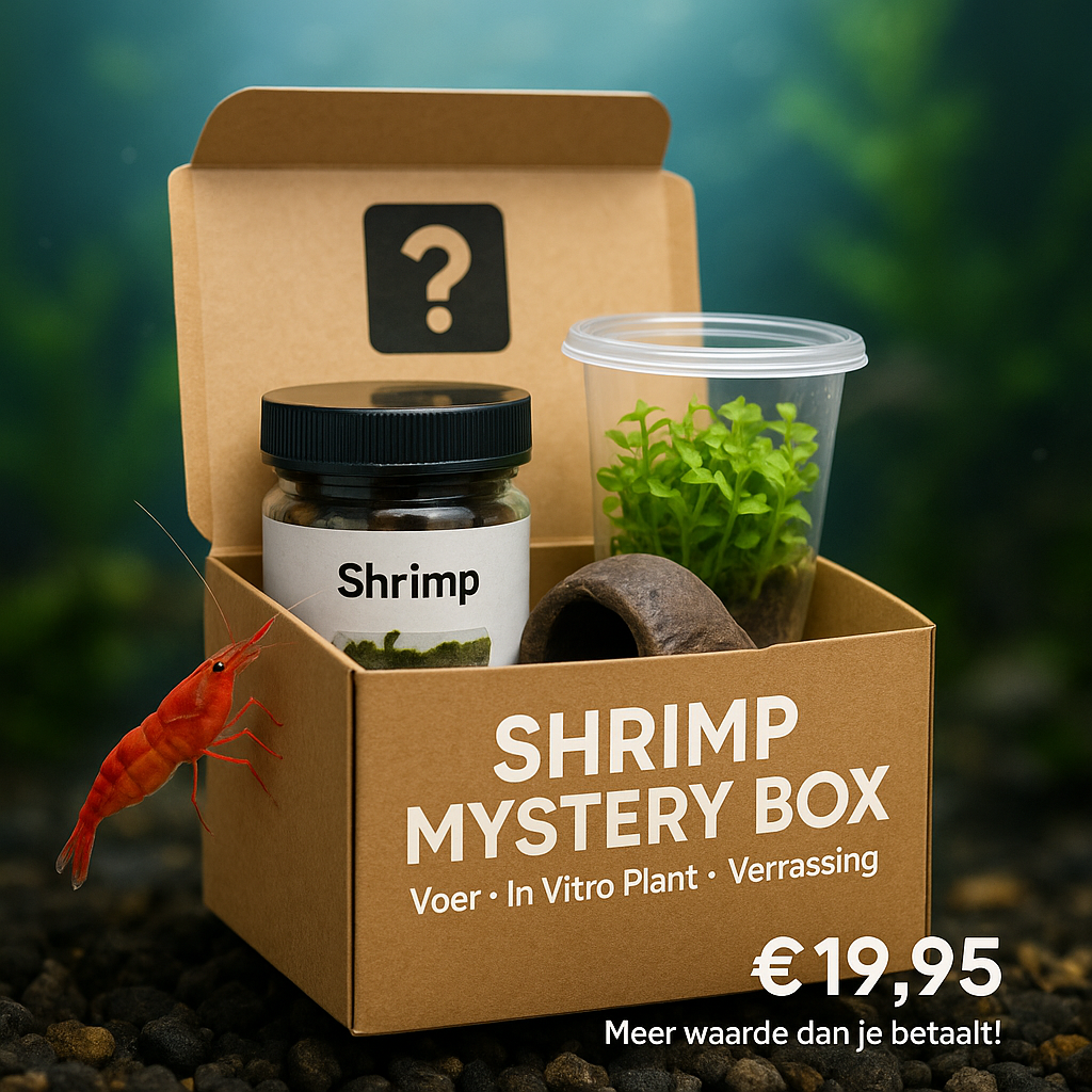 🦐 Shrimp Mystery Box – Voer, In Vitro plant of mos & schuilplaats voor garnalen!