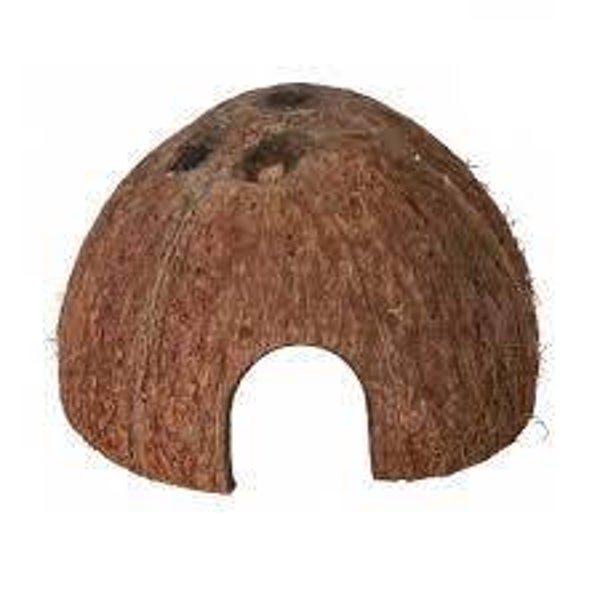 Cocosnoot Cave S en M