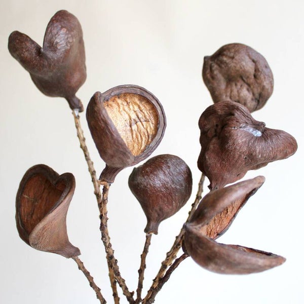 Badam op Steel 50 cm – Natuurlijke decoratie en schuilplaats