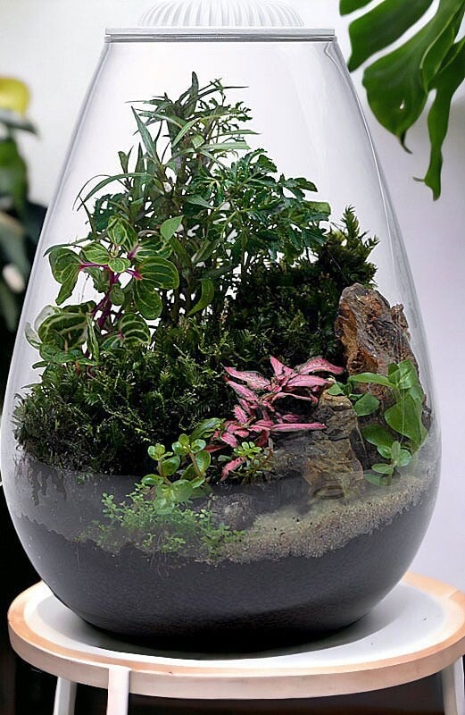 Wabi Kusa Bio Bowl 200 zwart
