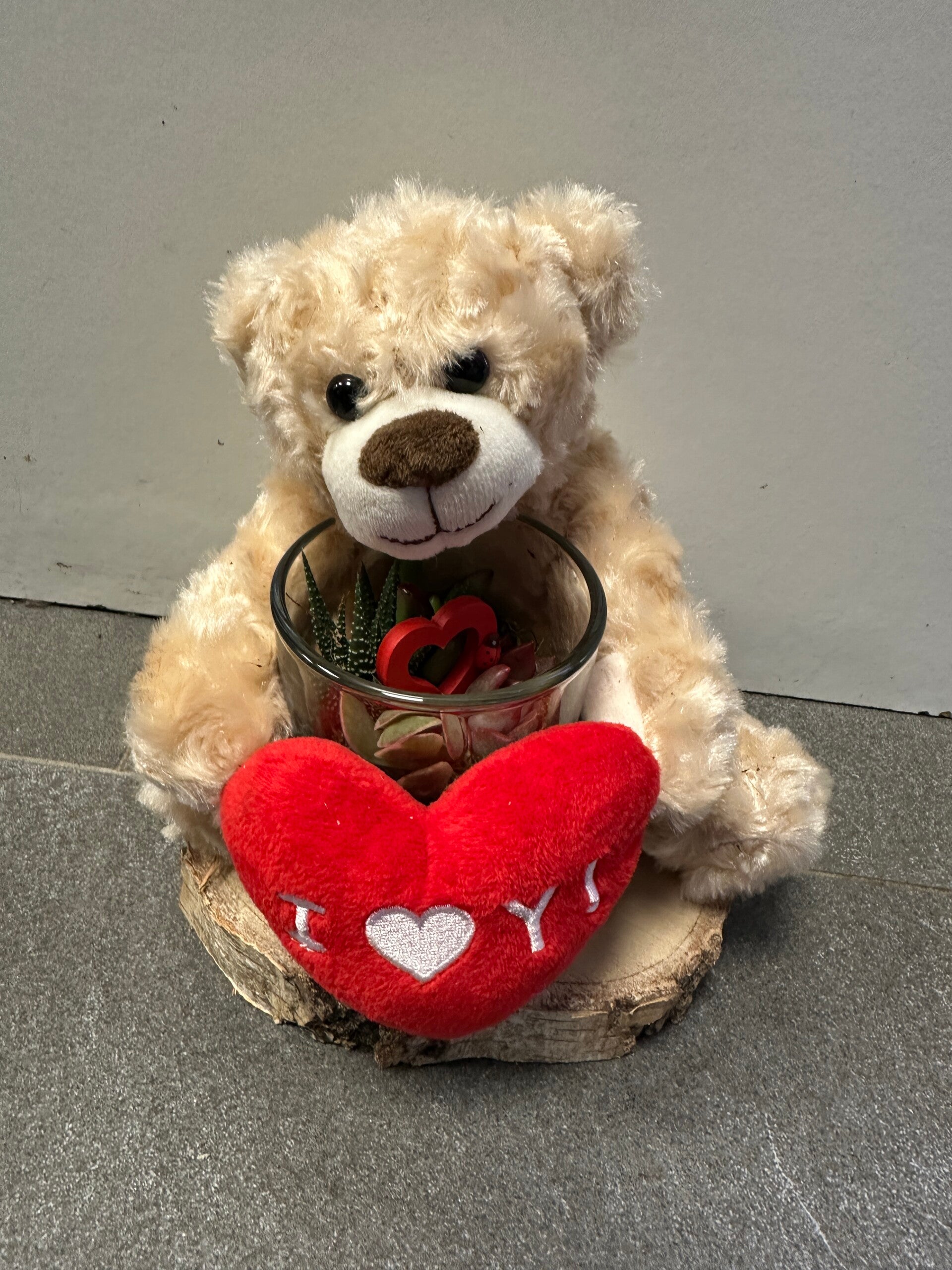 Bear Succulents op schijf hout met hart