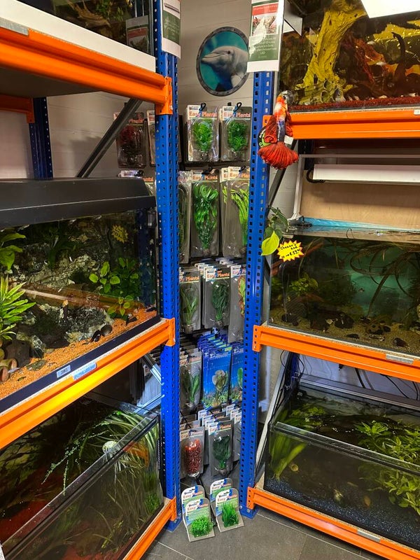 Kunstplanten SuperFish en Silk vele soorten voor stuntprijzen!