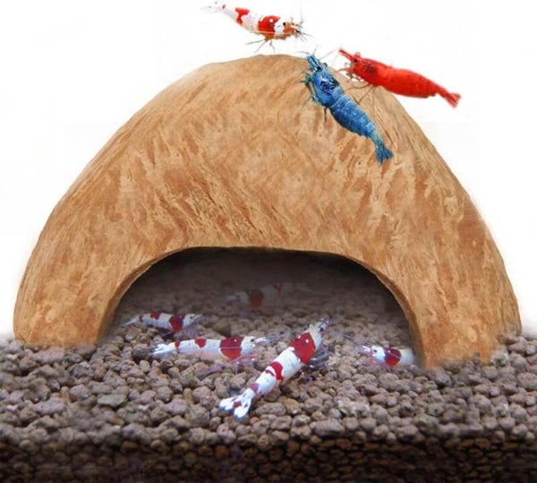 Cocosnoot Cave S en M