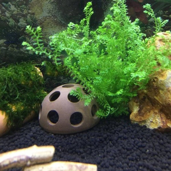 Keramiek schuilplek iglo voor bijvoorbeeld garnalen