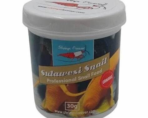 Shrimps Forever Sulawesi Snail 30 gram