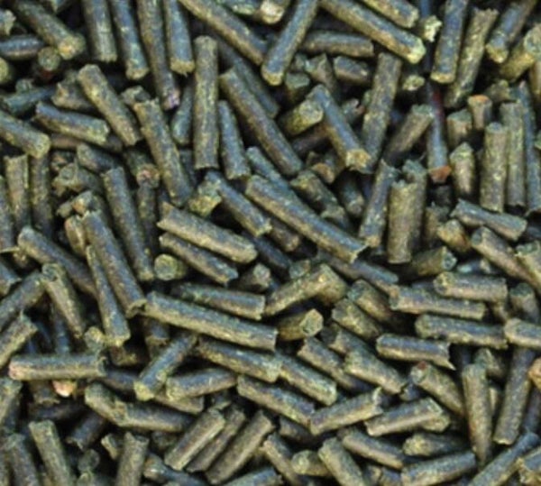 Walnoot bladeren sticks 25 gram