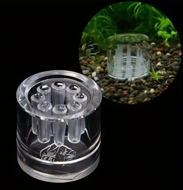 Planaria val 3,2 x 3 cm