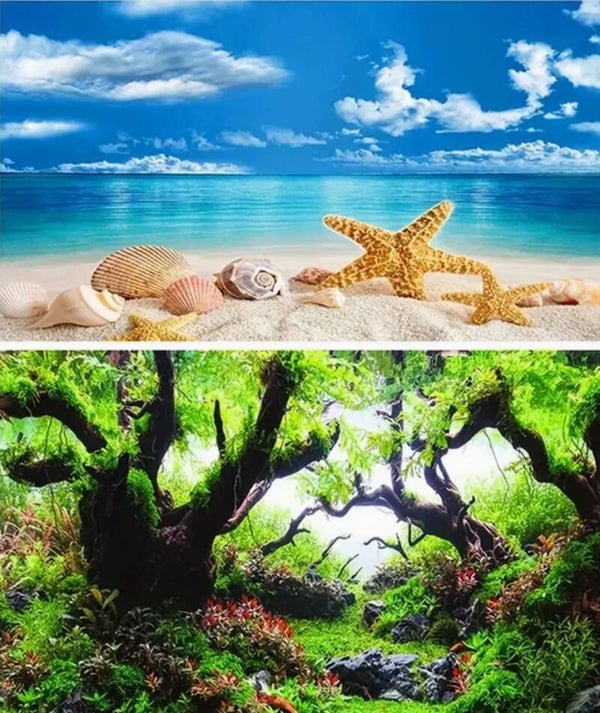 Achterwand aquarium pvc poster 3 afmetingen