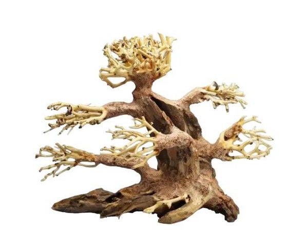 Strideways Bonsai S  23 × 17 × 10 cm