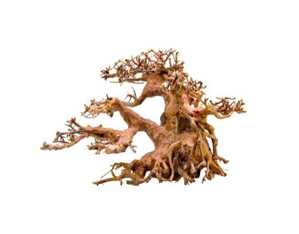 Strideways Bonsai M 30 × 23 × 17 cm
