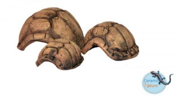 CeramicNature Turtle Cave/schildpad 10 x 7 x 5 cm of 24 x 18 x 10 cm