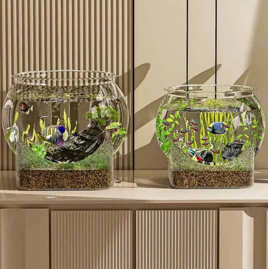 Duurzaam aquarium ronde kom voor bijvoorbeeld een Betta vis